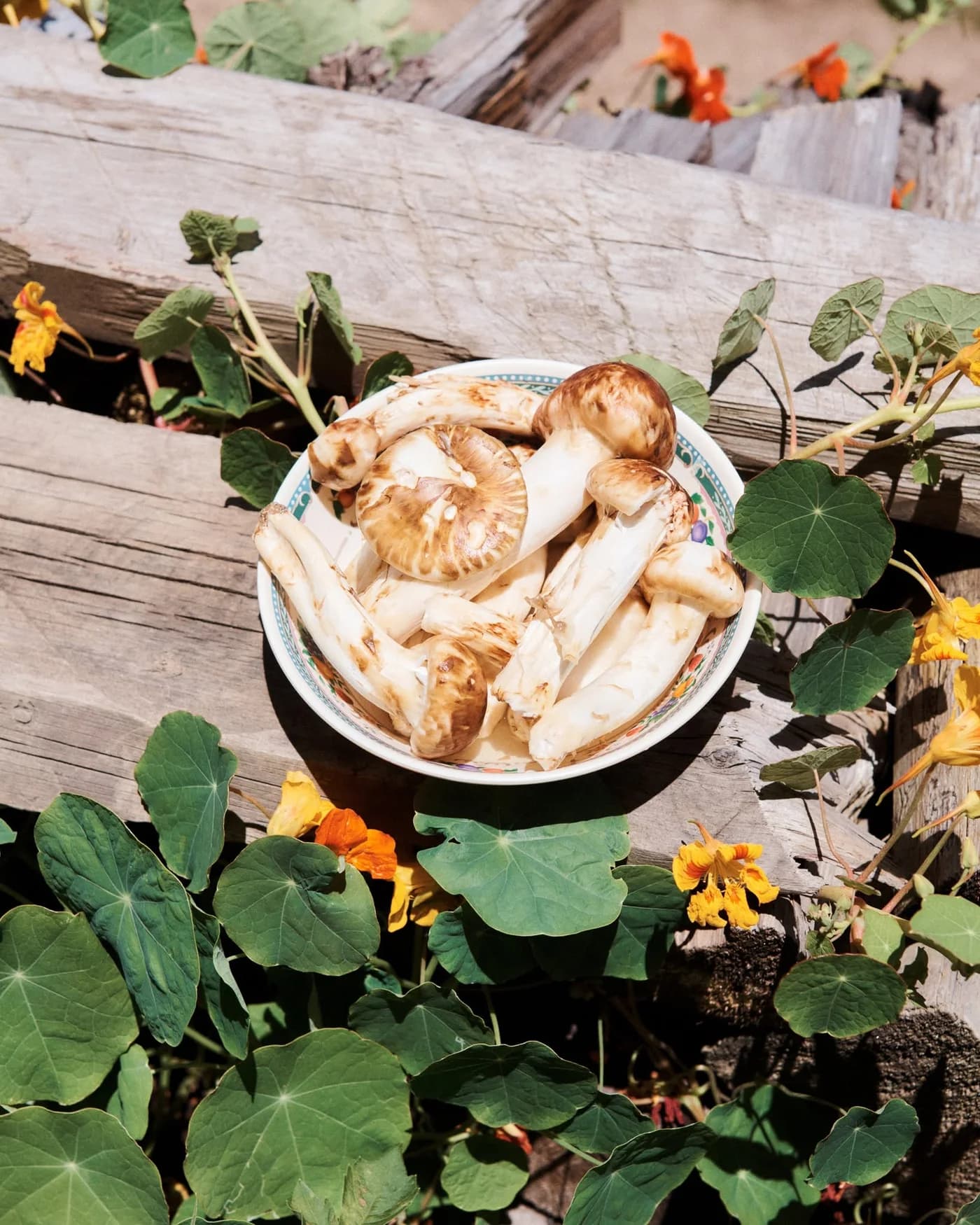 A bowl of sliced mushrooms with nasturtium flowers on a wooden table